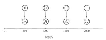 圖5鋼丸密度與壽命的關系